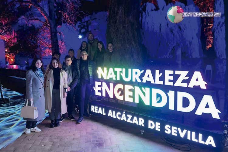 Programa cultural Erasmus+