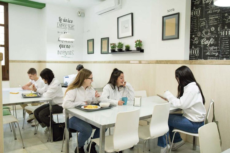 Alojamientos Erasmus+