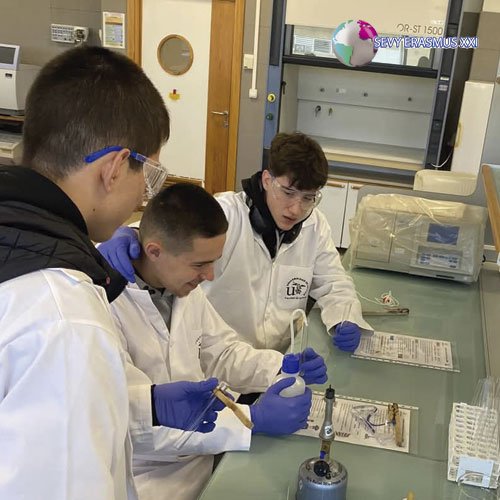 Участниците от направление “Автотранспорт” усъвършенстват уменията си в реална работна среда