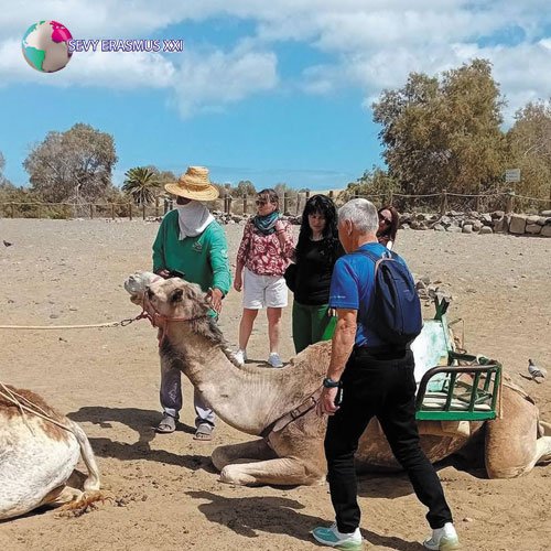 Job Shadowing en las Palmas de Gran Canaria