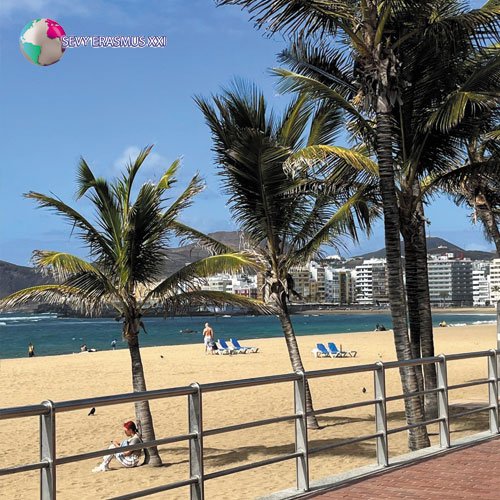 Job Shadowing en las Palmas de Gran Canaria