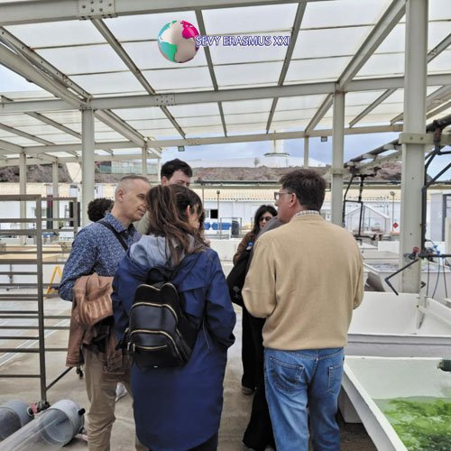 Job Shadowing en las Palmas de Gran Canaria